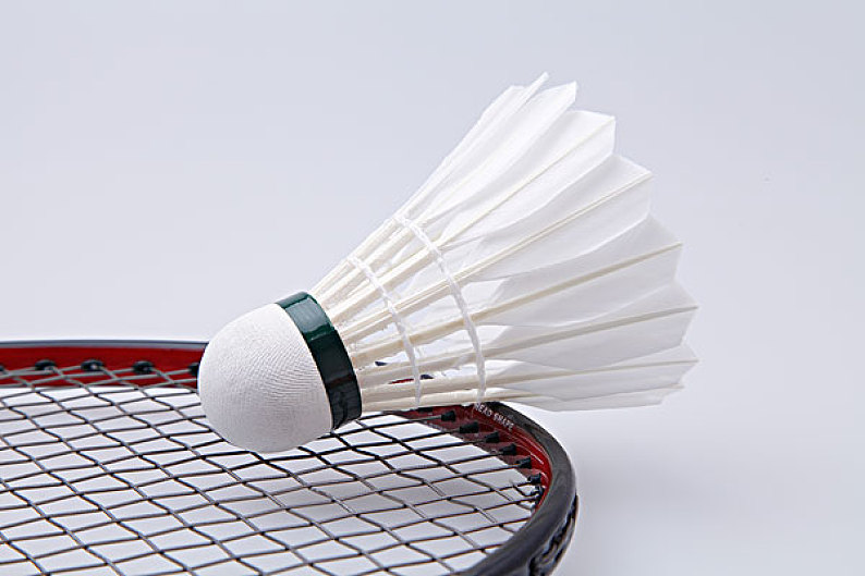 顽强对手的 顽强对手的